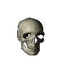 skull.gif (28900 bytes)